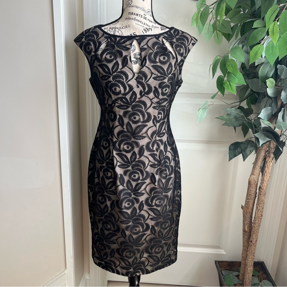 Maggy London Poiret Rose Lace Cutout Dress Black Sz 4
